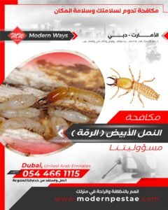 مكافحة النمل الابيض