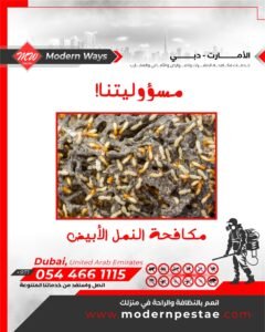 مكافحة النمل الابيض