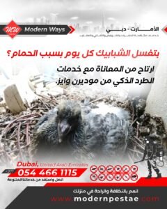 مكافحة الطيور