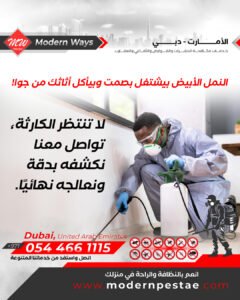 مكافحة النمل الابيض