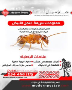 مكافحة النمل الابيض