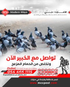 مكافحة الطيور