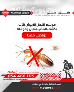 مكافحة النمل الابيض