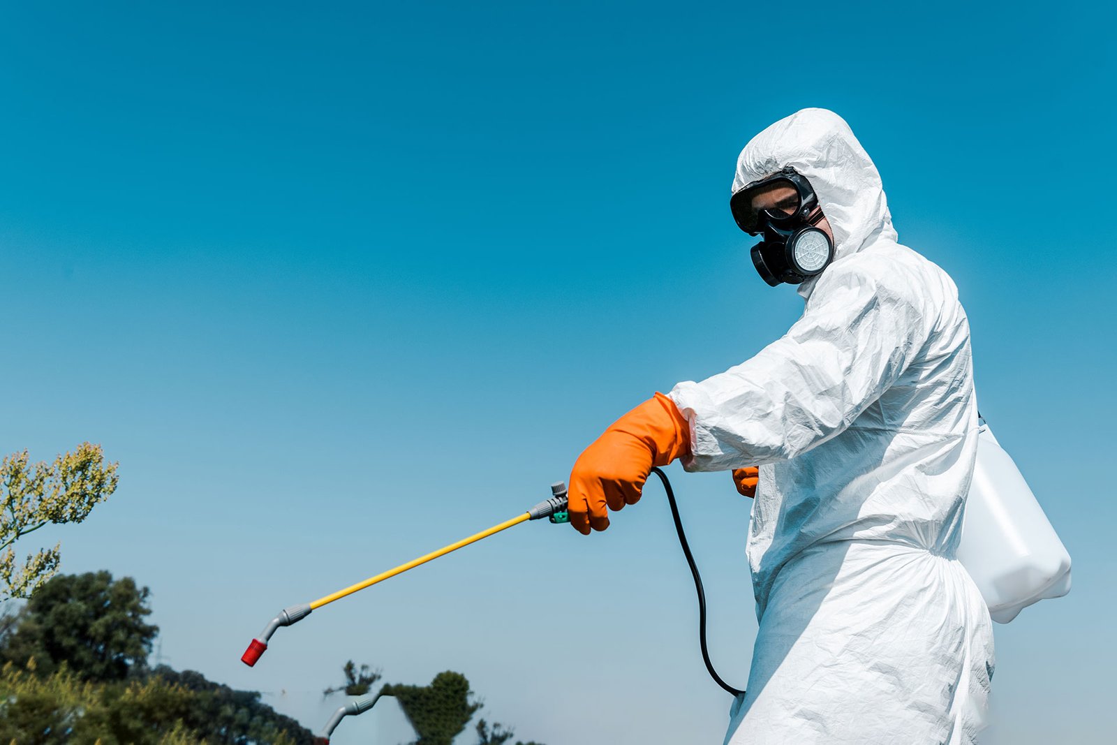 شركة الطرق الحديثة لمكافحة الحشرات | Modern Way Pest Control أفضل شركة مكافحة حشرات و الطيور المزعجة في دبي عجمان والشارقة بإستخدام مواد صحية مرخصة وكادر فني متميز بخبرة تزيد عن 30 عام في الإمارات مكافحة آفات آمنة بيئيًا - Modern Ways Pest Control شركة الطرق الحديثة لمكافحة الحشرات | Modern Way Pest Control أفضل شركة مكافحة حشرات و الطيور المزعجة في دبي عجمان والشارقة بإستخدام مواد صحية مرخصة وكادر فني متميز بخبرة تزيد عن 30 عام في الإمارات مكافحة آفات آمنة بيئيًا